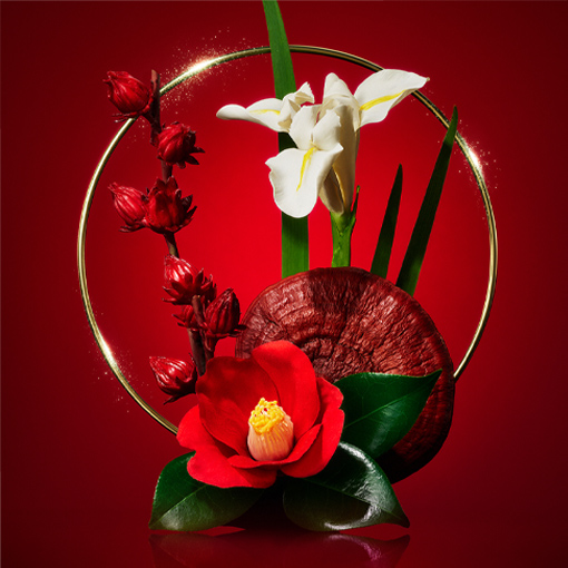 ULTIMUNE Ingredients