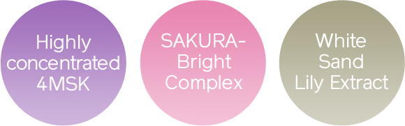 Highly concentrated 4MSK / SAKURA-Bright Complex / White Sand Lily Extract
